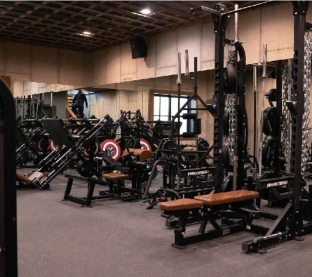 Commercial Gym Equipments Manufacturer in India
