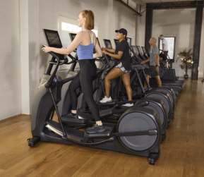 Commercial Gym Equipments Supplier in India