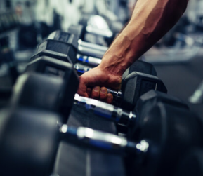 Gym Equipment Supplier in India